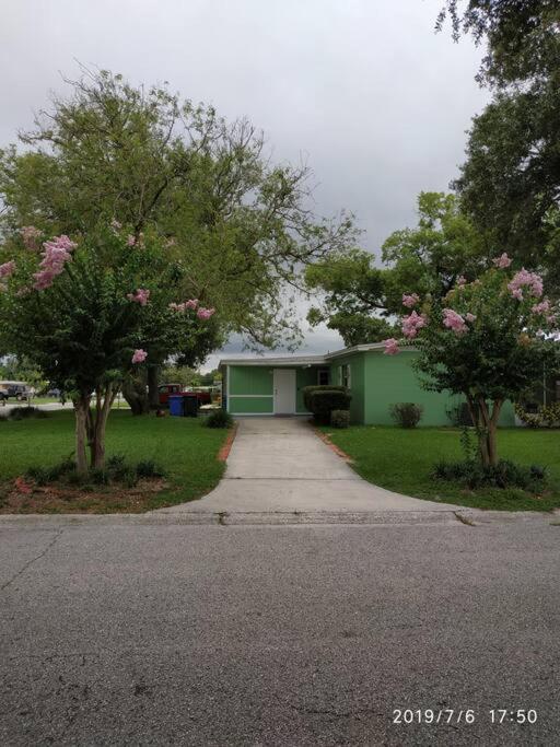 Green House Tampa Ngoại thất bức ảnh